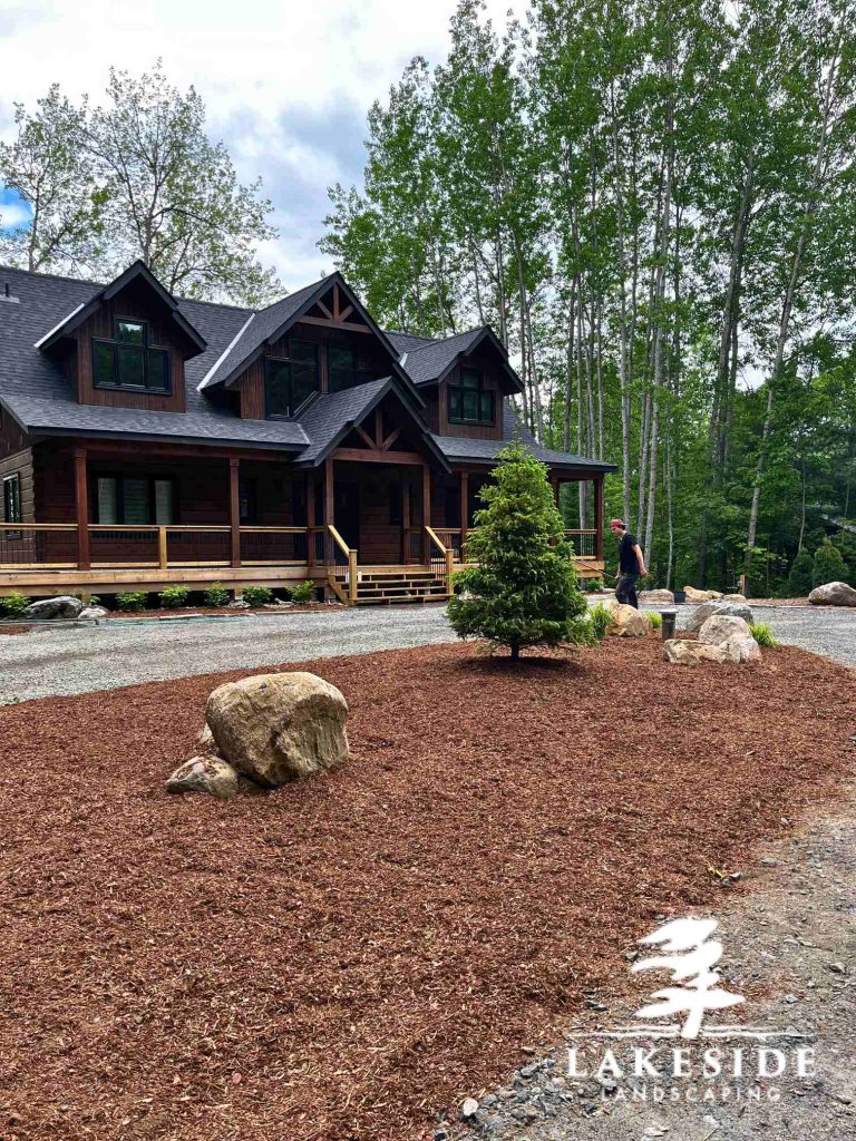 Evergreen tree, mulch, stone and pathway up to a modern Muskoka house